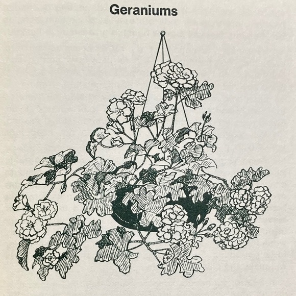 1973 Gardening with Hanging Baskets Rex E. Mabe Vintage Gardening Book Gift Idea - Picture 8 of 12